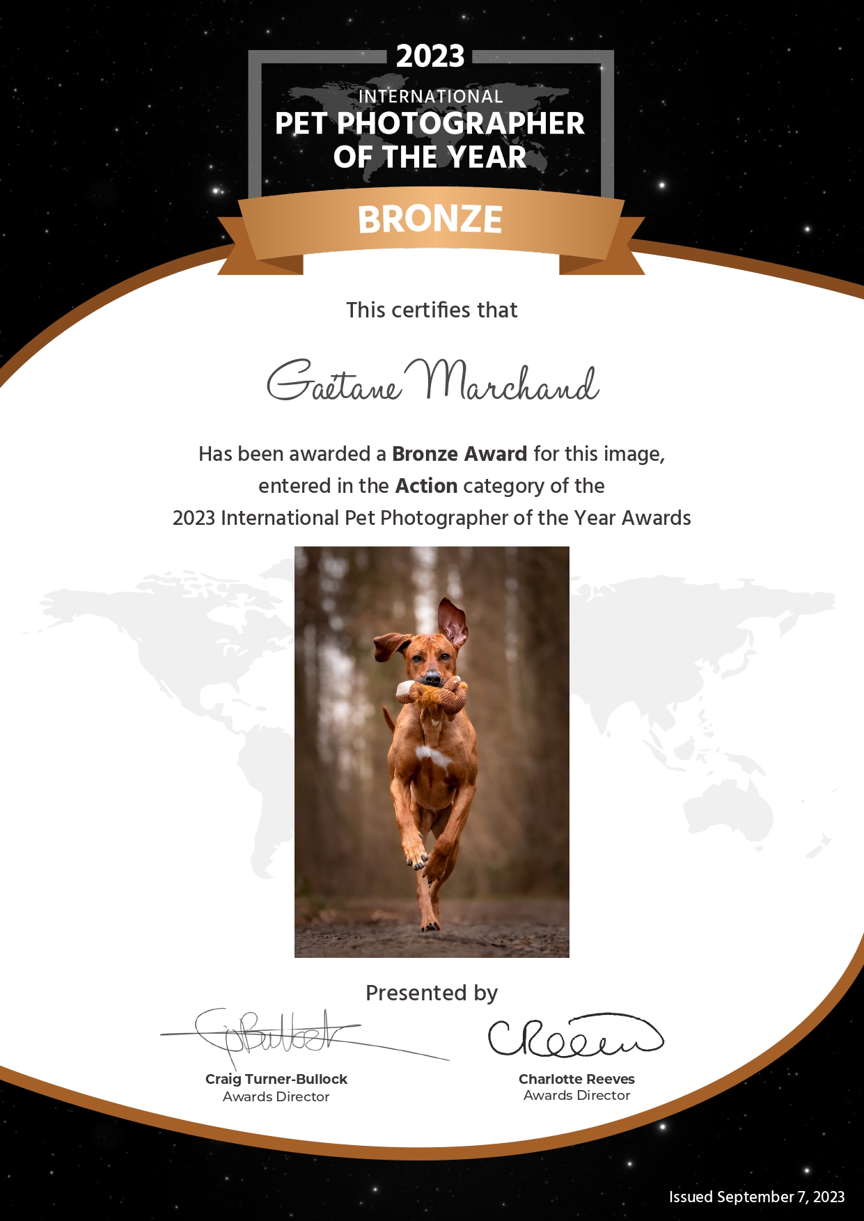 International Pet Photographer of the Year 2023 - Bronze Award