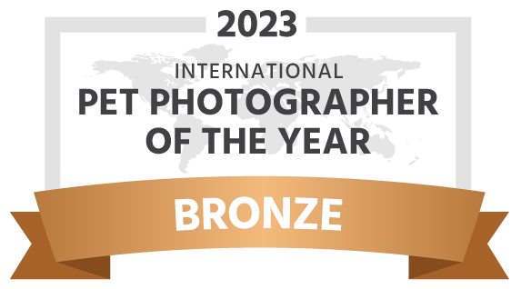 Bronze Award - International Pet Photographer of the Year 2023