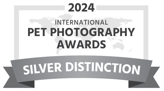 Bronze Award - International Pet Photographer of the Year 2023